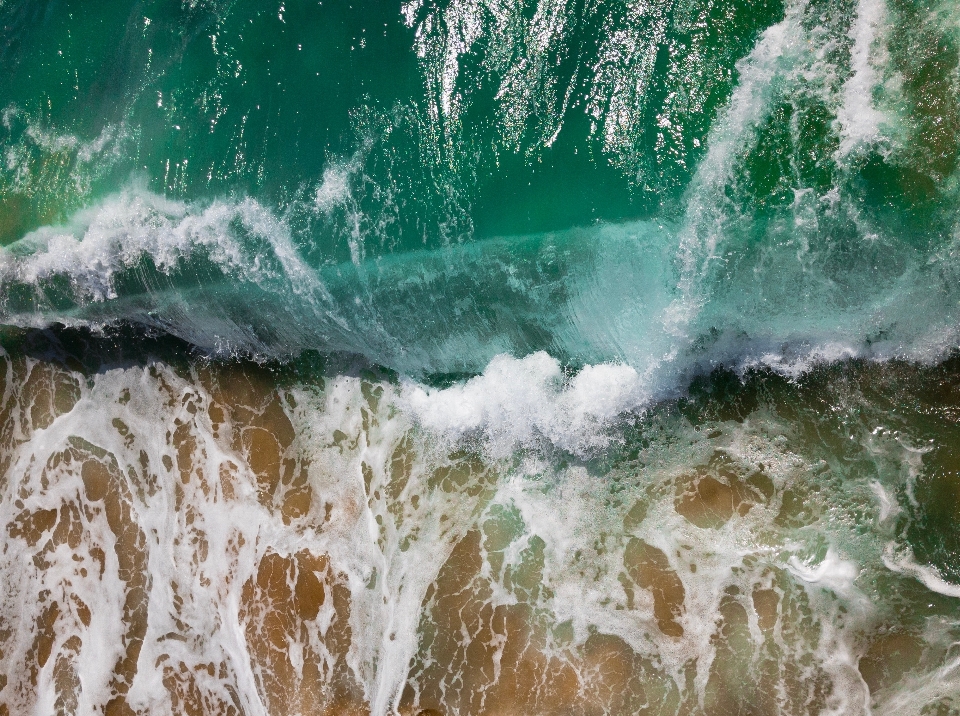 海 海岸 水 自然