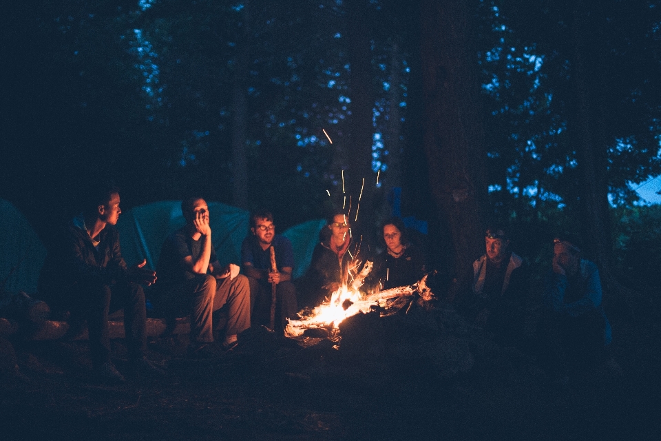 Light group night sitting