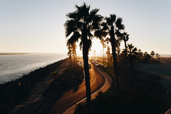 ビーチ 風景 海 海岸 写真