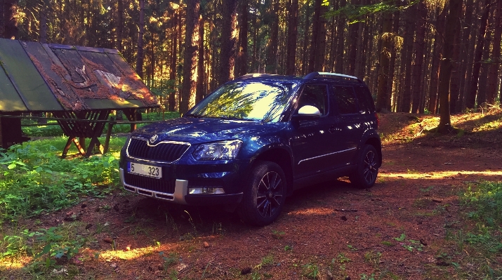 Foto Carro roda veículo parachoque