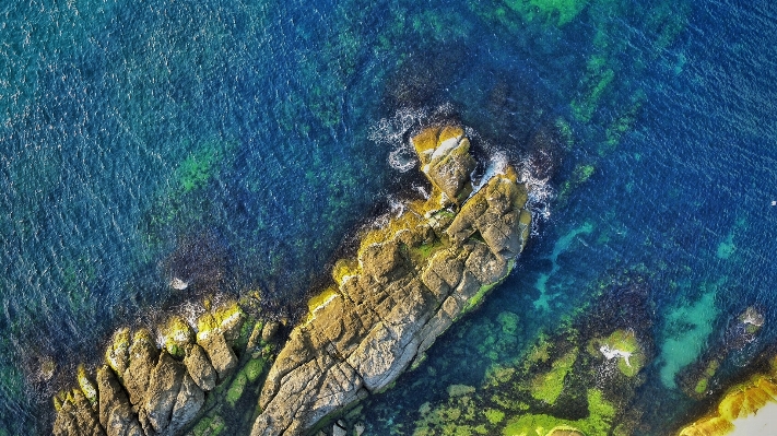 Sea rock ocean stone Photo