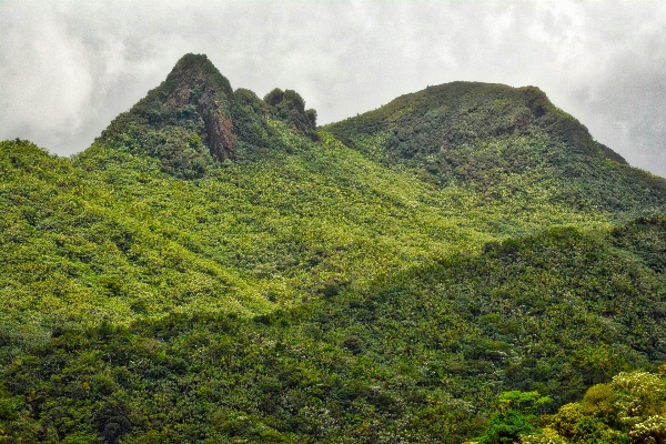 Landscape nature forest rock Photo