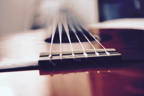 Foto Chitarra basso
 strumento musicale acustica