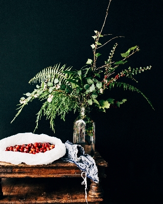 Tree branch plant night Photo