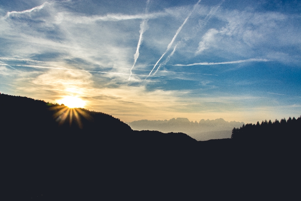 Forest horizon silhouette mountain