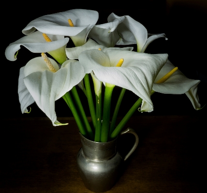 Foto Pianta fiore verde giallo