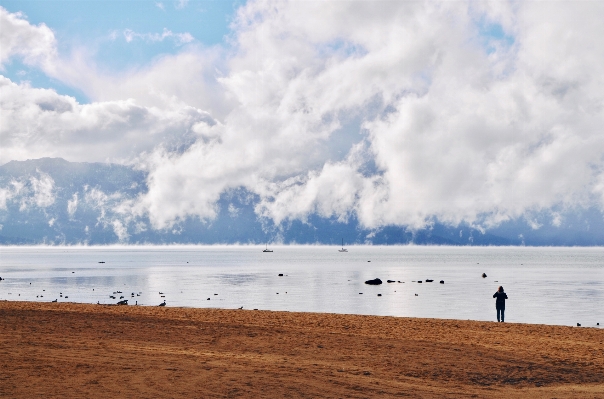 ビーチ 風景 海 海岸 写真