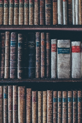 Book wood row shelf Photo