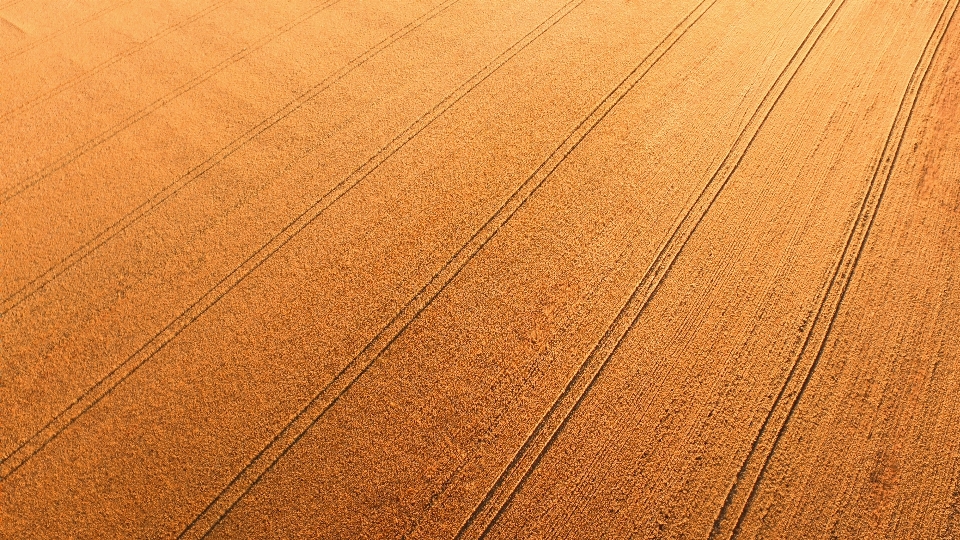 Madera pista campo granja