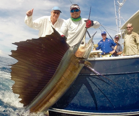 Vehicle fishing fish cod Photo