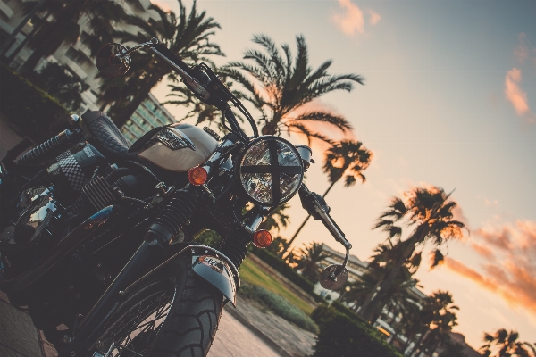 Sunrise sunset palm tree motorcycle Photo