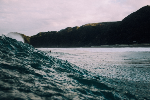 Beach sea coast water Photo