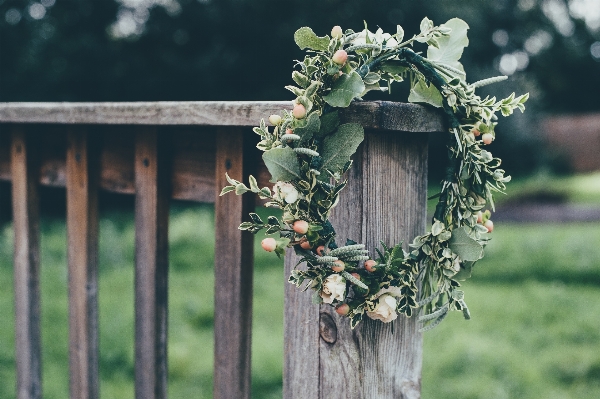 Tree branch fence plant Photo