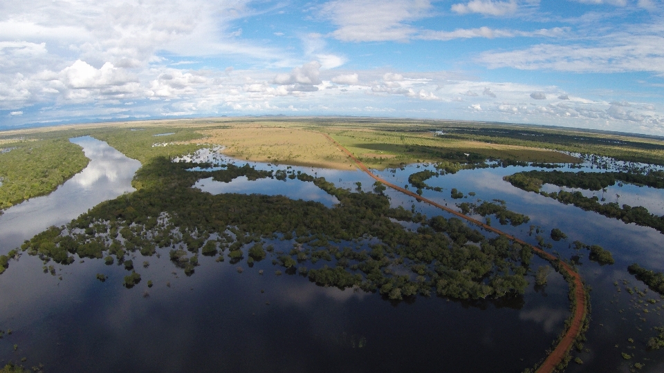 Paisagem pântano
 região selvagem
 nuvem