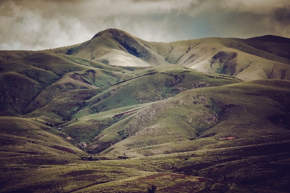 Foto Paisagem natureza grama rock