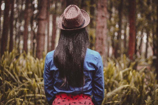 Tree forest person people Photo