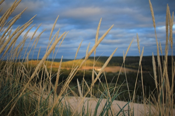 Sea coast water nature Photo