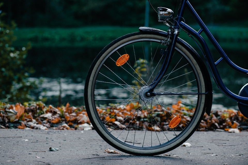 Roue trottoir
 vélo transport