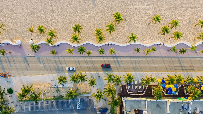 Beach flower view wall Photo