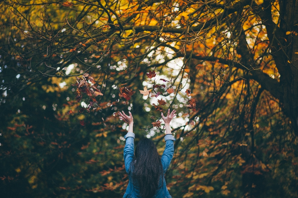 Drzewo natura las oddział