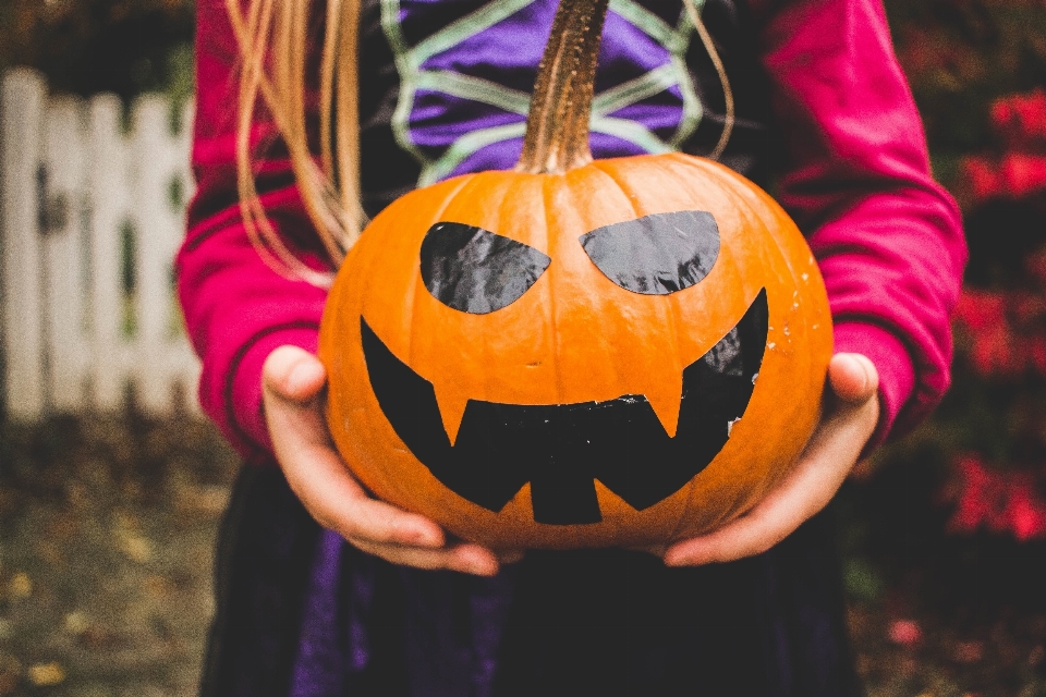 Fall pumpkin halloween holiday