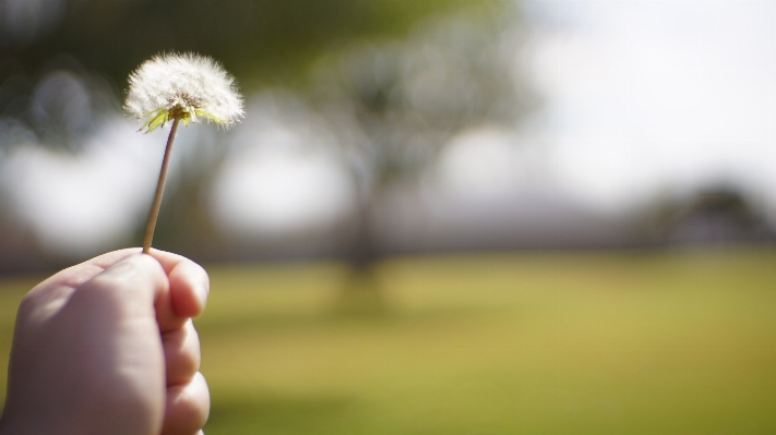 Hand tree nature grass Photo