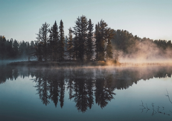 Landscape tree water nature Photo