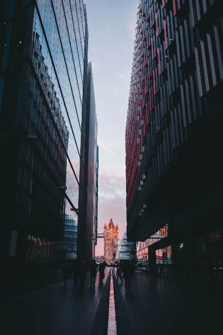 Light architecture skyline night