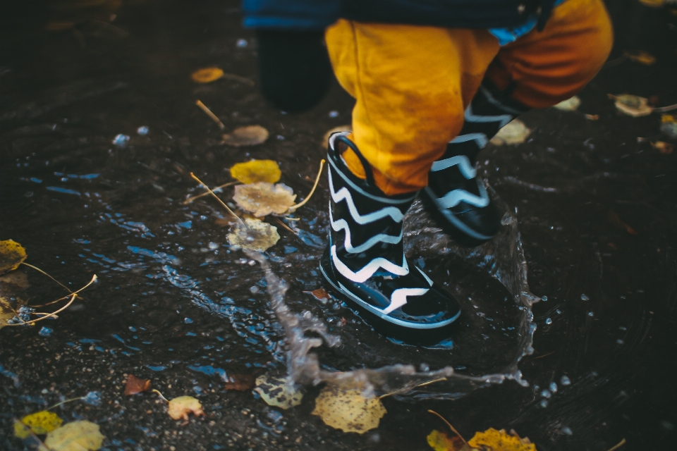 Water splash puddle biology