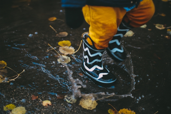 Water splash puddle biology Photo