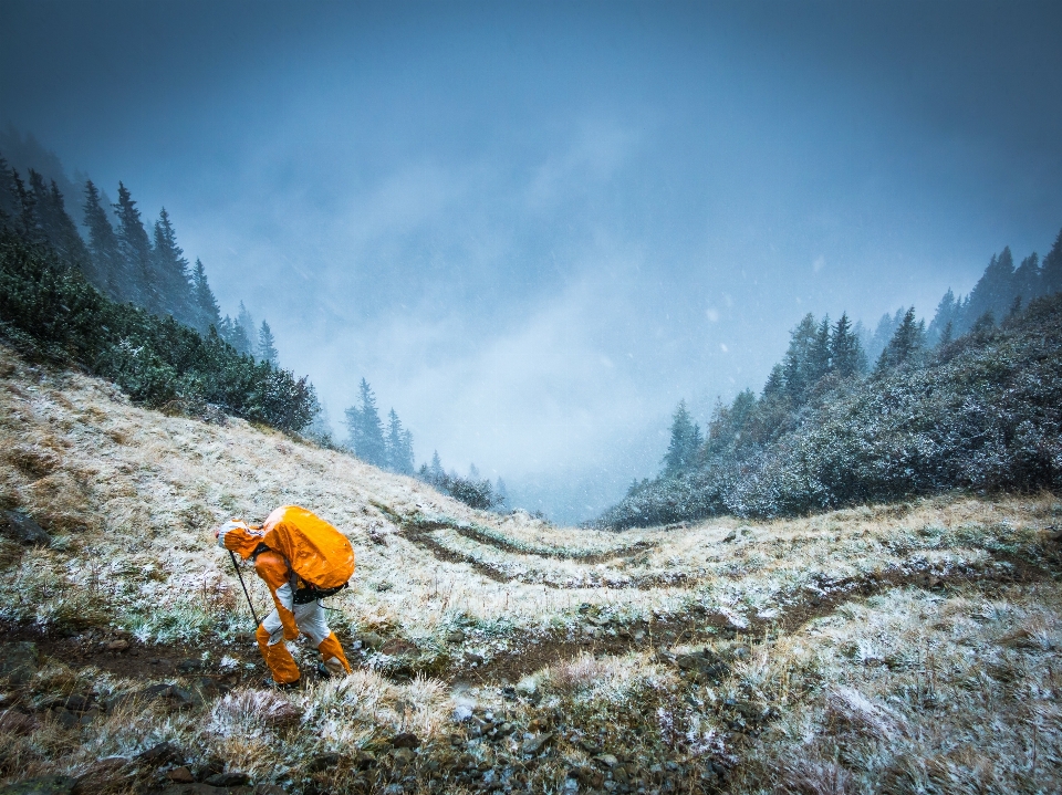 Forest wilderness walking person