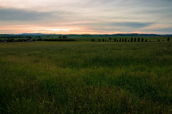 Landschaft natur gras horizont Foto