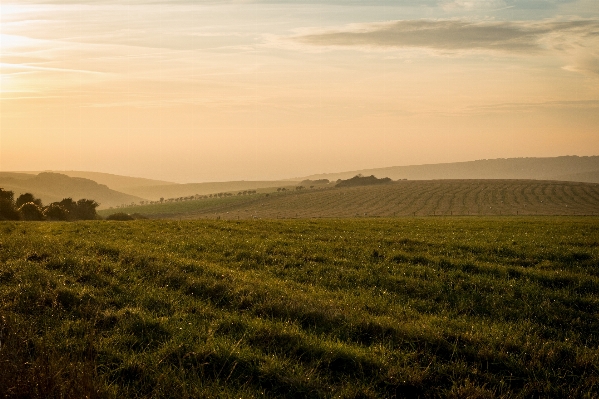 Landscape nature grass horizon Photo