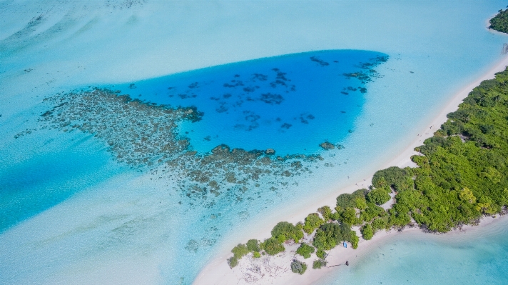 Beach sea coast forest Photo