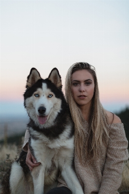 犬 哺乳類 脊椎動物
 そり犬
 写真