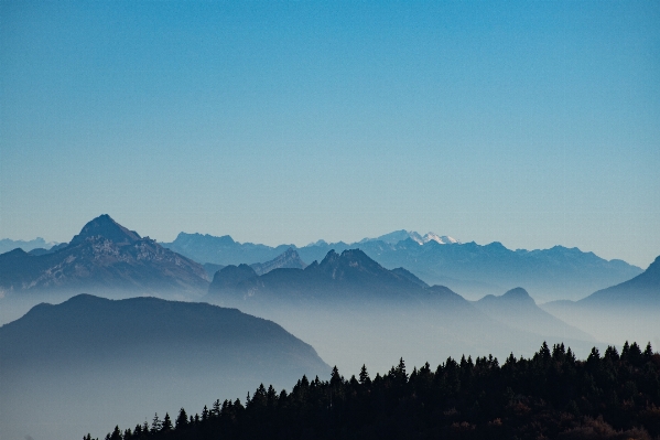 Tree nature outdoor horizon Photo