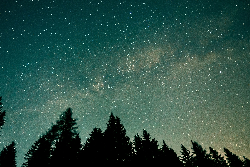 Ciel nuit étoile voie lactée
