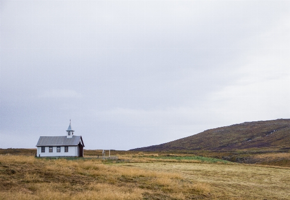 Sea coast grass horizon Photo