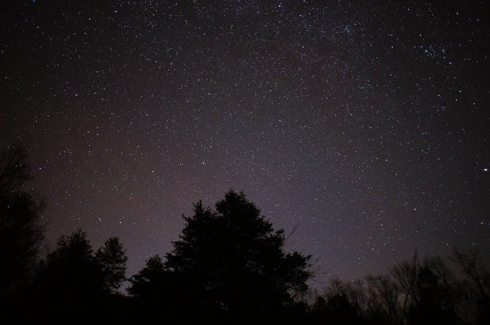 木 空 夜 星