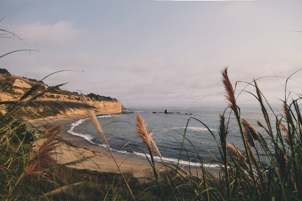 Beach landscape sea coast