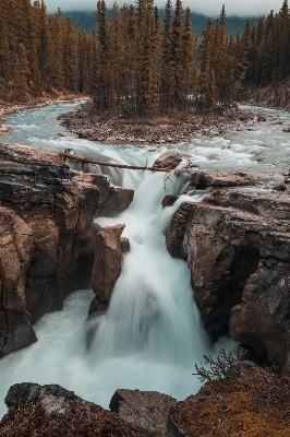 Landscape tree water nature Photo