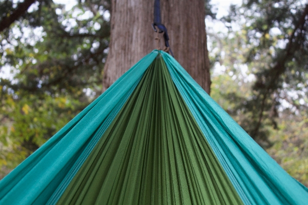 Green blue tent hammock Photo