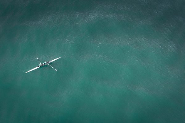 海 水 羽 空 写真