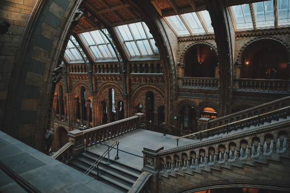 Architecture building staircase steps Photo