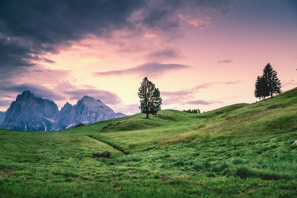 Landschaft natur gras horizont Foto