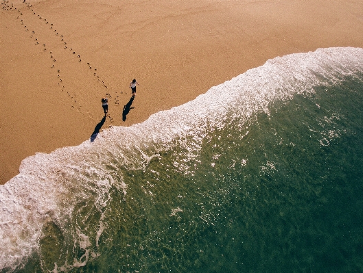 Beach sea coast water Photo