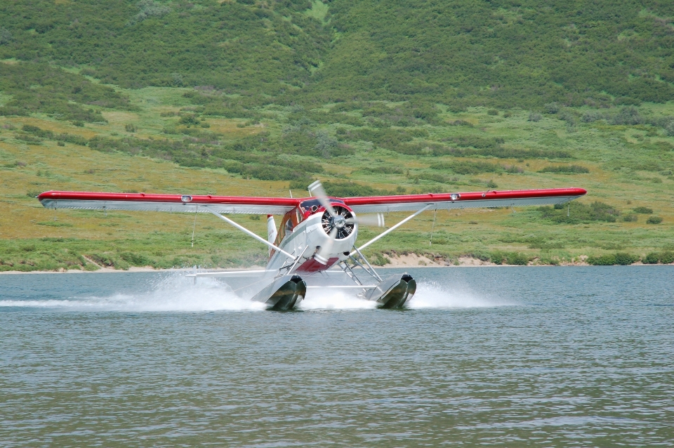 Ala avión aeronave vehículo