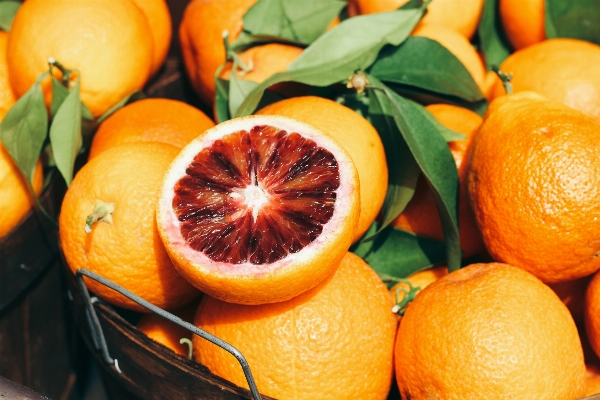 Plant fruit orange food Photo