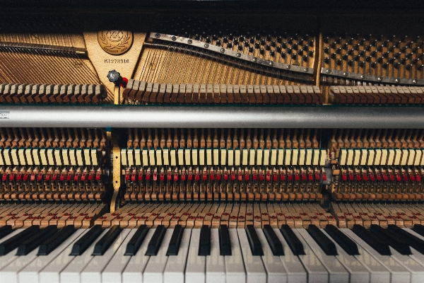 Music keyboard technology string Photo