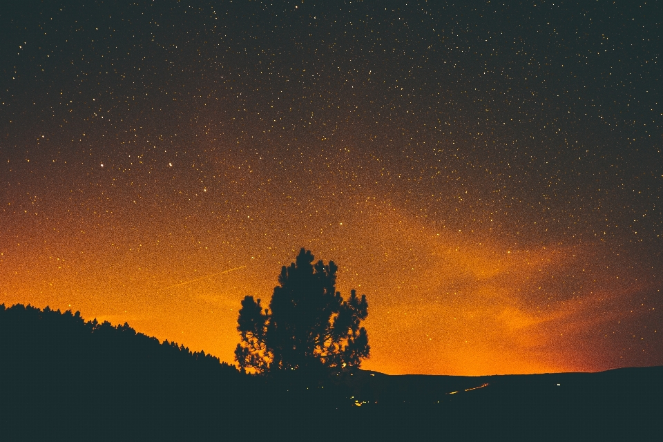 地平线 天空 夜晚 星星